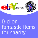 eBay Charity Auctions